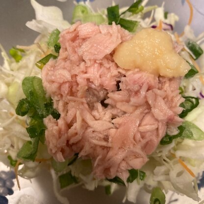 サラダのトッピングにしてみました^o^生姜でさっぱり美味しく食べれますね(o^^o)ごちそうさまでした✨